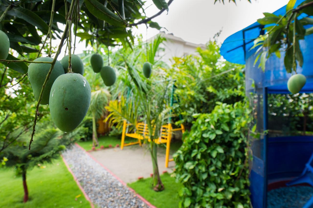 Galaxy Guest House Bhairāhawā Екстериор снимка